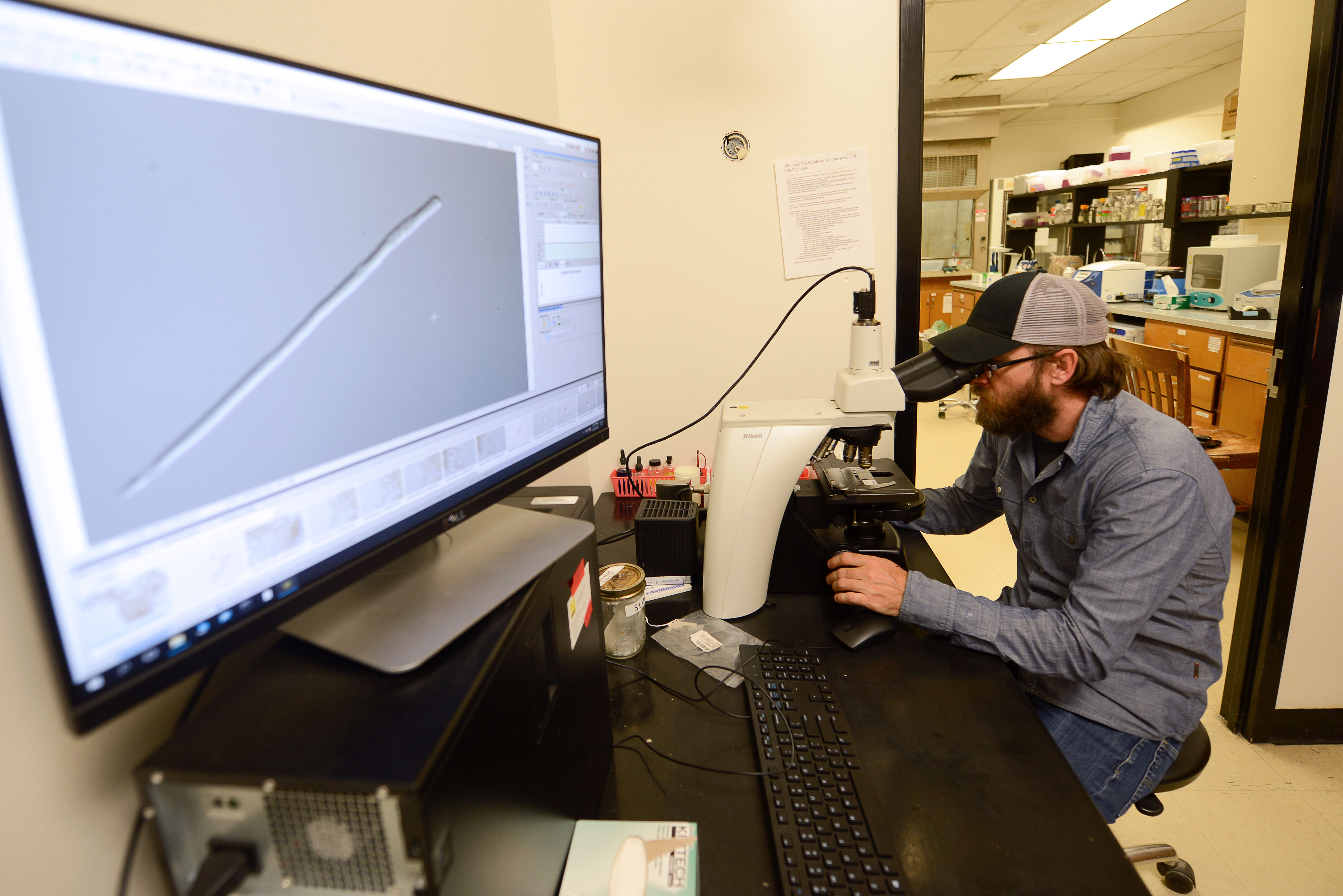 Cercospora battle continues on many fronts
